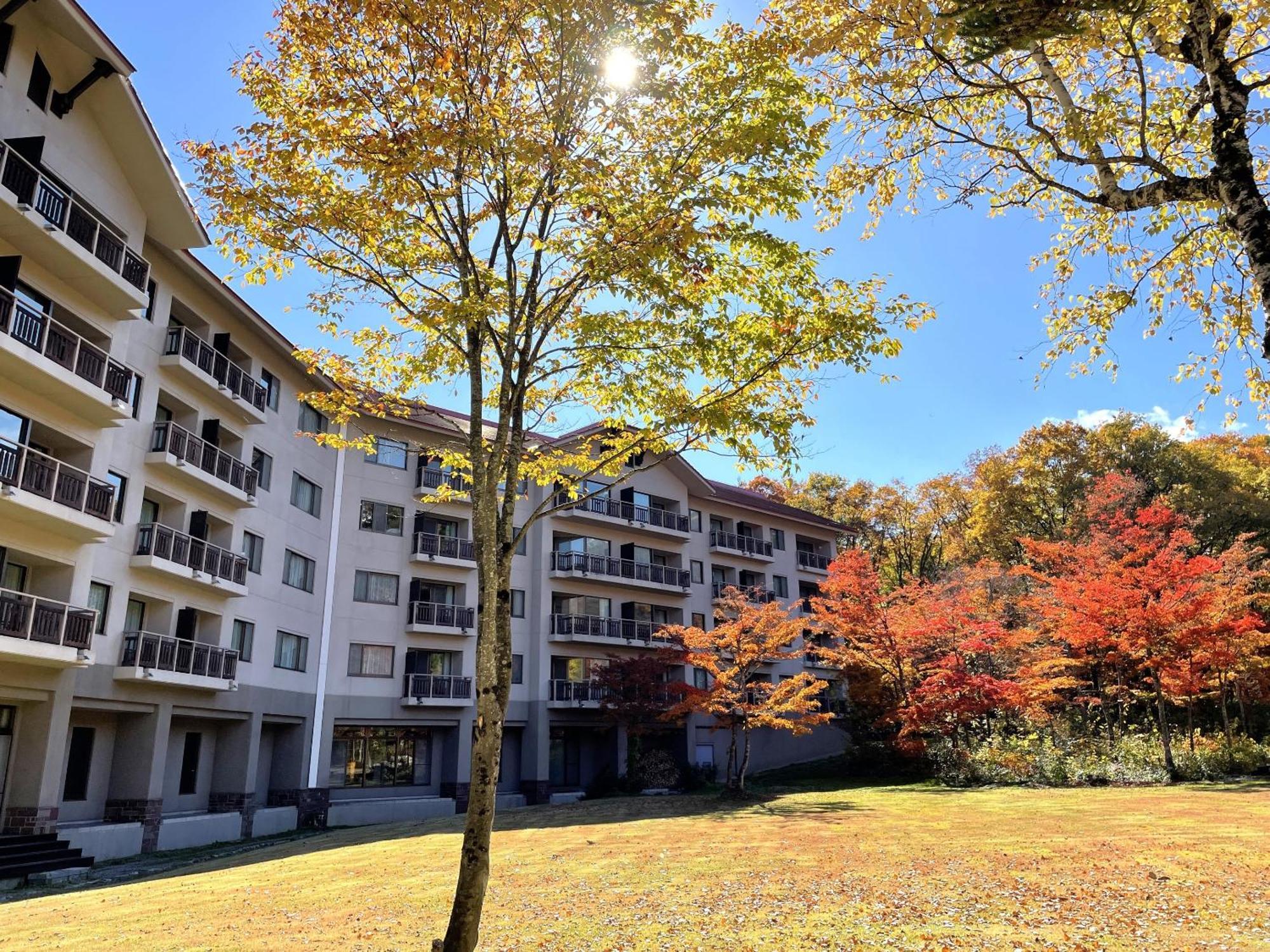 נגנו Hakuba Tokyu Hotel מראה חיצוני תמונה