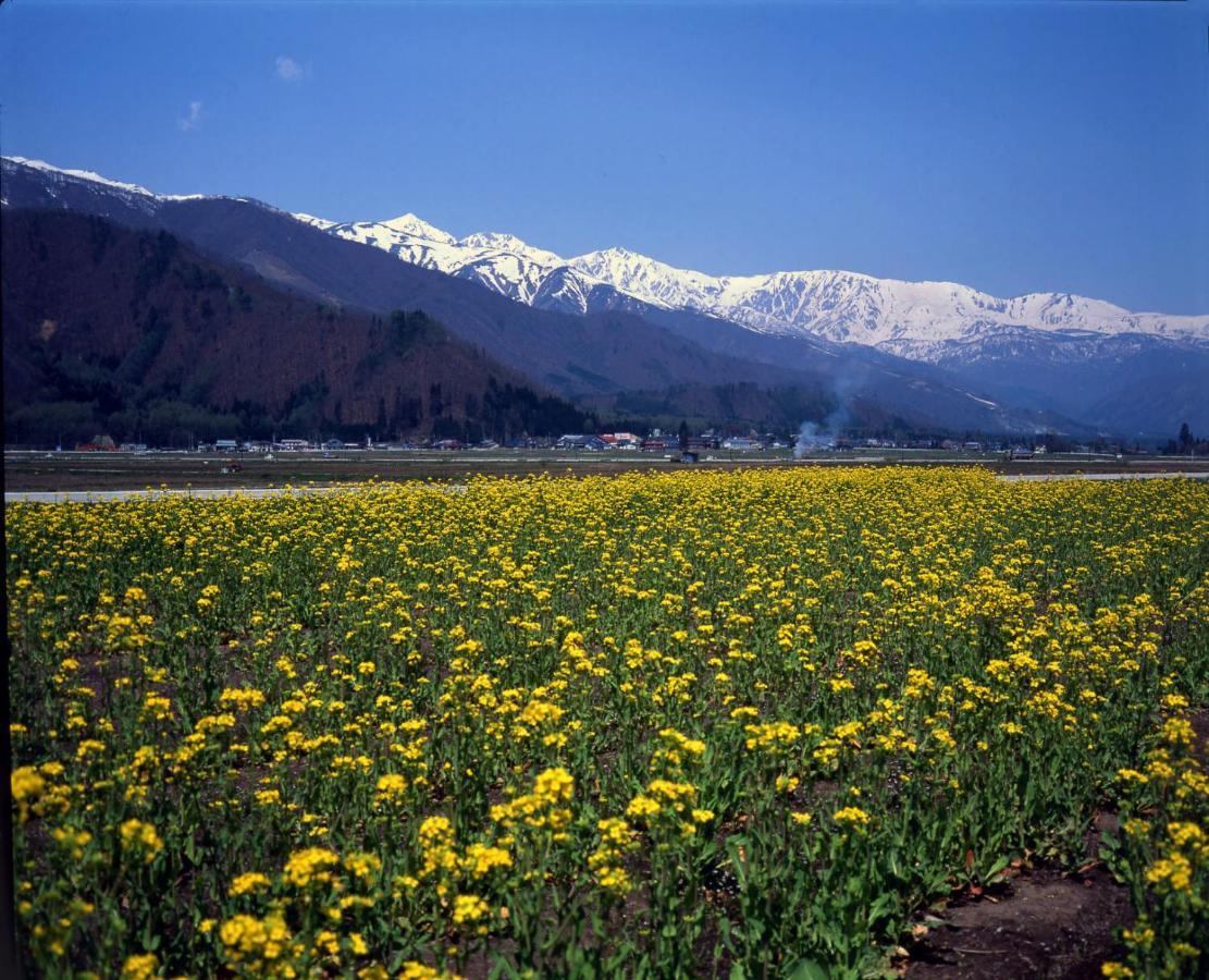 נגנו Hakuba Tokyu Hotel מראה חיצוני תמונה